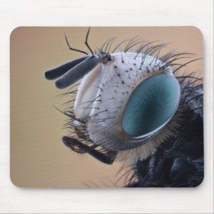 Tapis De Souris Tête de bogue d'insectes de gros plan