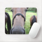 Tapis De Souris Tête de cheval (Avec souris)