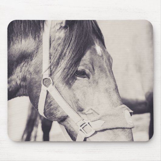 Tapis De Souris Tête de cheval 009 (Devant)
