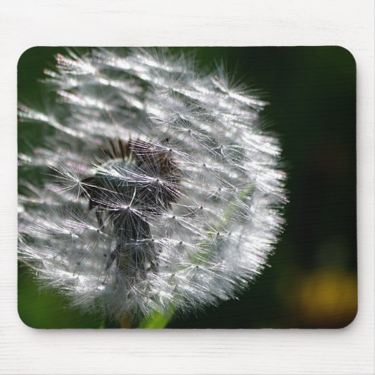 Tapis De Souris Tête de graines de Dandelion - Mousepad (Devant)