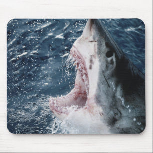 Tapis De Souris Tête de grand requin blanc