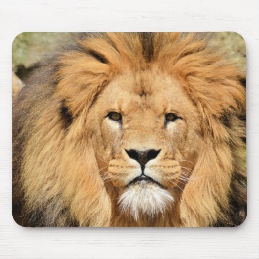 Tapis De Souris Tête de Lions (Devant)