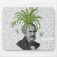 Tête Plante Spider
