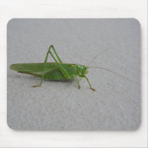 Tapis De Souris Tettigonia viridissima
