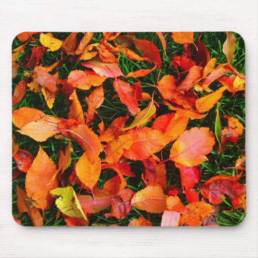 Tapis De Souris Texture feuille d'automne mousepad (Devant)