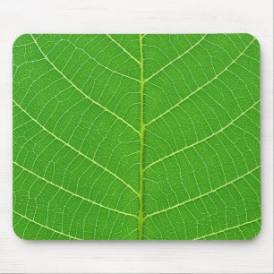 Tapis De Souris texture verte de feuille d'arbre de nature