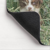 Tapis De Souris The Cuteness Never Stops (Coin)