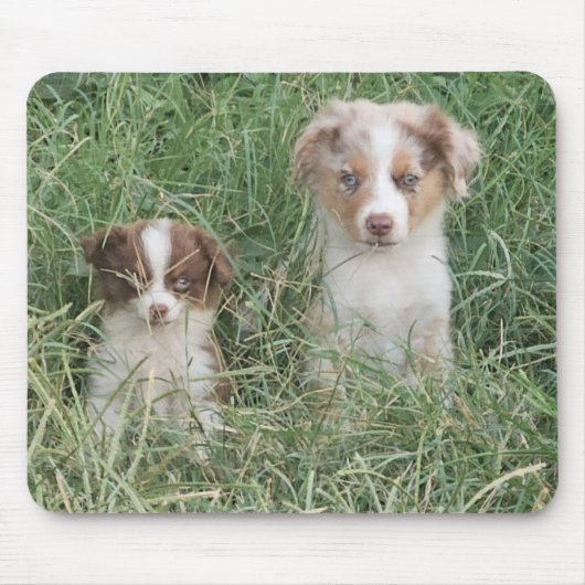 Tapis De Souris The Cuteness Never Stops (Devant)