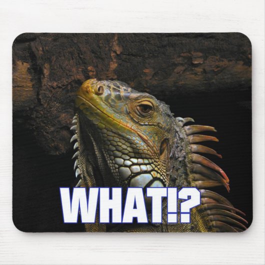 Tapis De Souris The What!? Iguana (Devant)