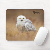 Tapis De Souris Thème Chouette Effraie Faune (Avec souris)