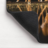 Tapis De Souris Three Impala Drink Together at Night (Coin)