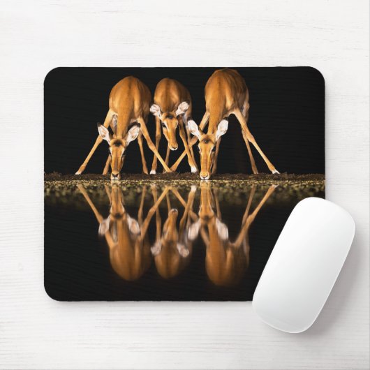 Tapis De Souris Three Impala Drink Together at Night (Avec souris)
