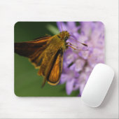 Tapis De Souris Thymelicus lineola (Avec souris)