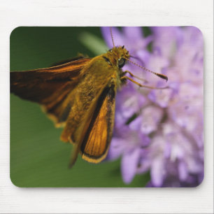 Tapis De Souris Thymelicus lineola