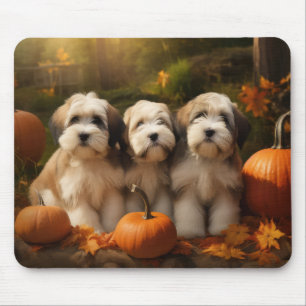 Tapis De Souris Tibétain Terrier Chiot Automne Citrouille délice