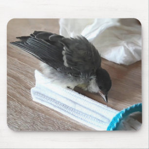 Tapis De Souris Tidi my Bird le Parus Major