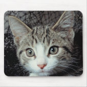 Tapis De Souris Tiger (Devant)