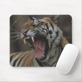 Tapis De Souris Tiger Cub Yawning (Avec souris)