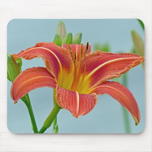 Tapis De Souris Tiger Daylily (Devant)