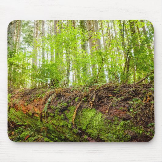 Tapis De Souris Tiger | Issaquah, État de Washington (Devant)