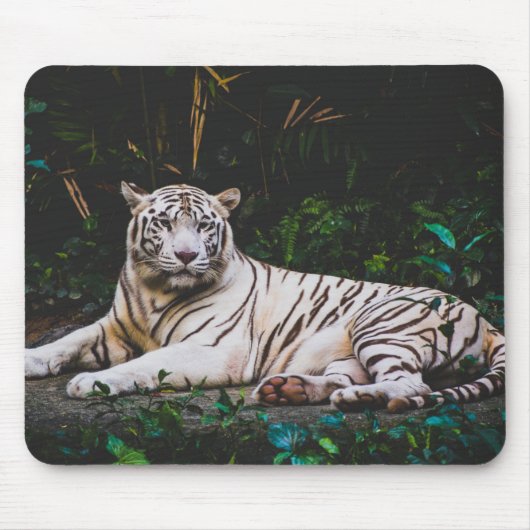 Tapis De Souris Tiger Mousepad (Devant)