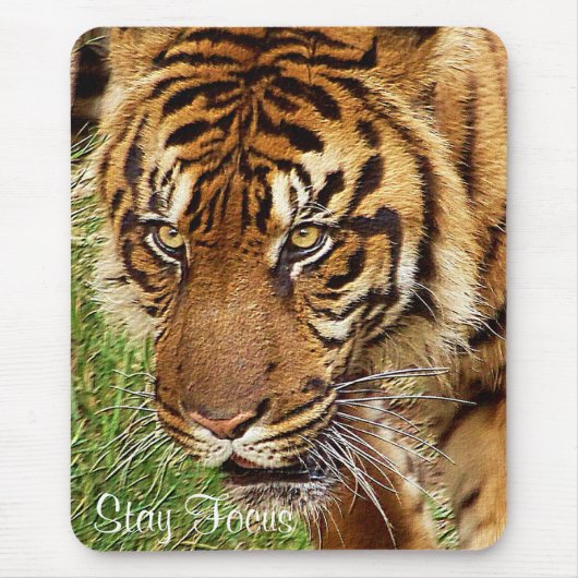 Tapis De Souris Tiger Power_ Mousepad (Devant)