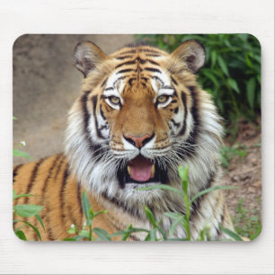 Tapis De Souris Tiger Smile