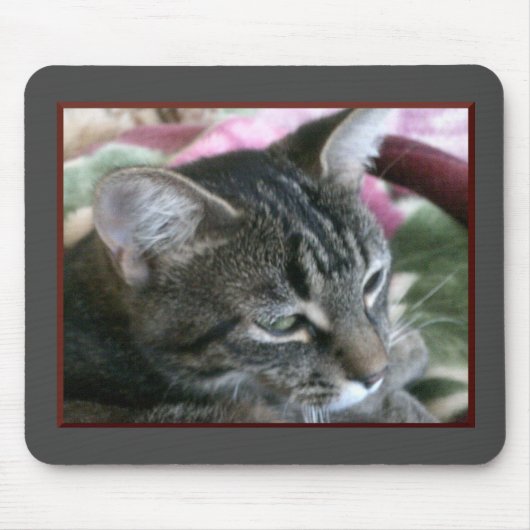 Tapis De Souris Tiger Strier Kitty Souris (Devant)