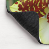 Tapis De Souris tigerorchid (Coin)