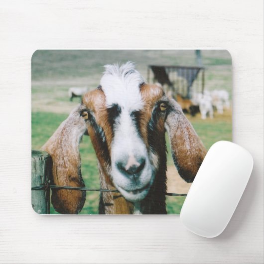 Tapis De Souris tigger (Avec souris)