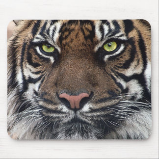 Tapis De Souris Tigre