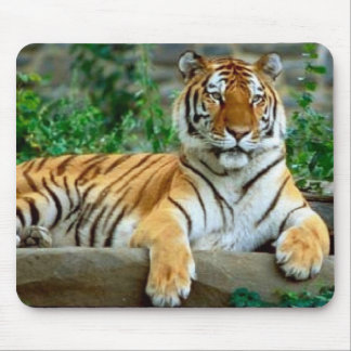 Tapis De Souris Tigre