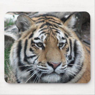 Tapis De Souris Tigre