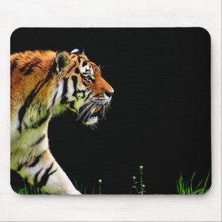 Tapis De Souris Tigre approchant - Oeuvres d'art d'animaux sauvage