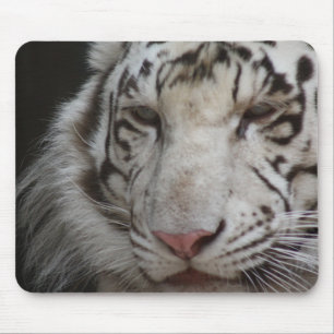 Tapis De Souris Tigre blanc