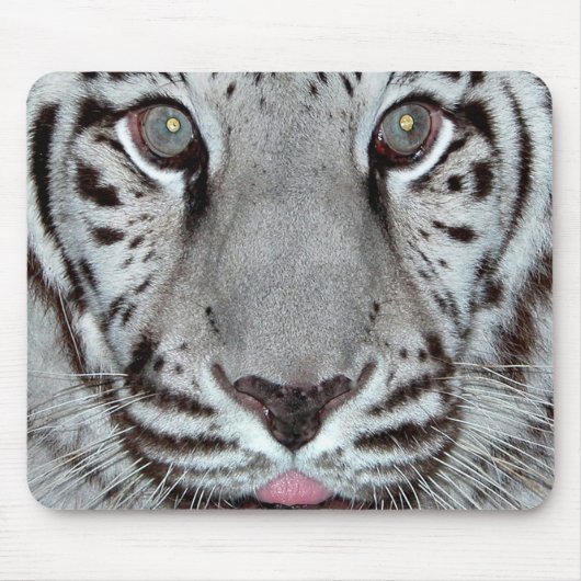 Tapis De Souris Tigre blanc (Devant)
