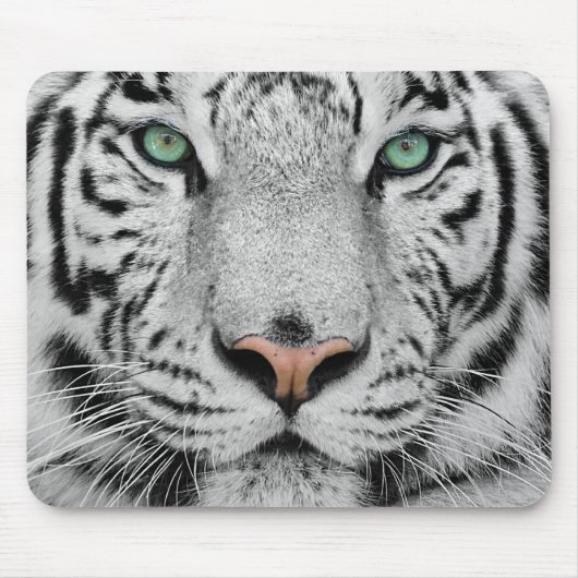 Tapis De Souris Tigre blanc (Devant)