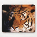 Tapis De Souris "Tigre couché" Mousepad<br><div class="desc">Customisez Cet Article Pour Dire Tout Ce Que Vous Voulez!</div>