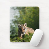 Tapis De Souris Tigre CUB (Avec souris)