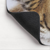Tapis De Souris Tigre CUB (Coin)