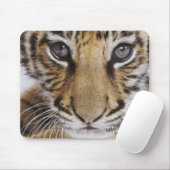 Tapis De Souris Tigre CUB (Avec souris)