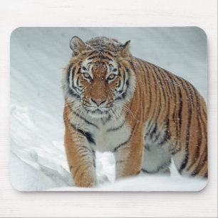 Tapis De Souris Tigre dans la neige