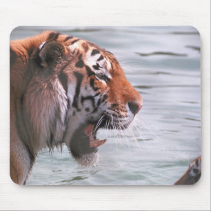 Tapis De Souris Tigre de baîllement dans l'eau