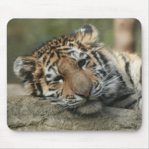 Tapis De Souris Tigre de bébé de sommeil