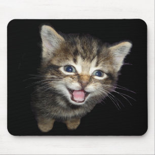 Tapis de souris tigré de chaton