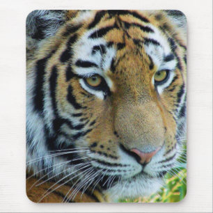 Tapis de souris Tigre de Sibérie, Tigre de l'Amour