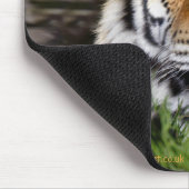 Tapis de souris Tigre de Zambar (Coin)