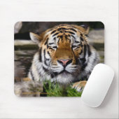 Tapis de souris Tigre de Zambar (Avec souris)