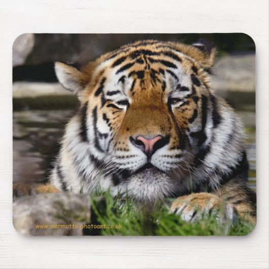 Tapis de souris Tigre de Zambar (Devant)