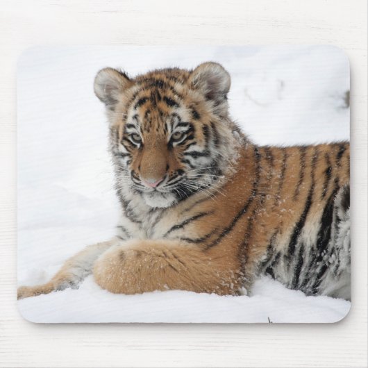 Tapis De Souris Tigre d'hiver (Devant)